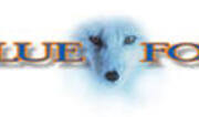 BLUE FOX