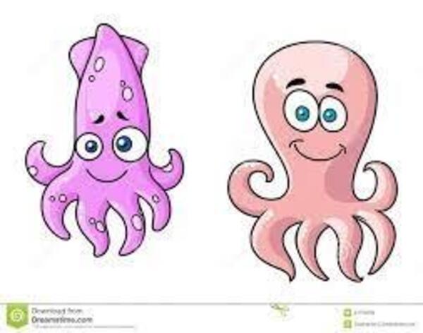 Gallery a03855 szbekvpk