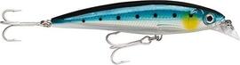 Rapala Xtreme 10cm-13G- BSRD