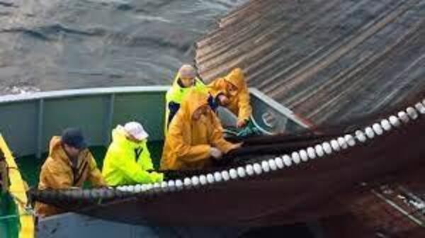 Gallery a03919 7q2nbxzl