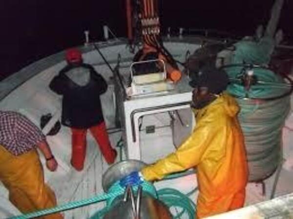 Gallery a03919 mx8bgrnu