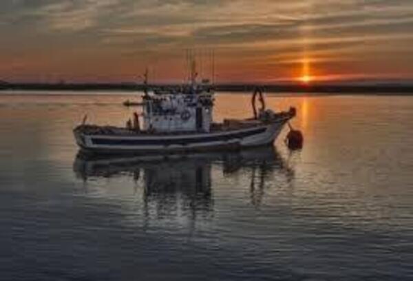 Gallery a03919 u25v92af