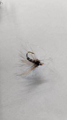 Aparejo Plumas Trucha