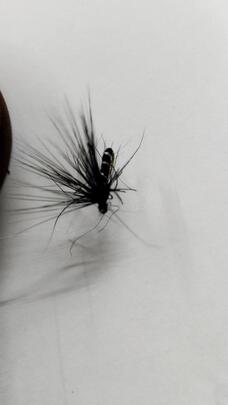 Aparejo Plumas Trucha