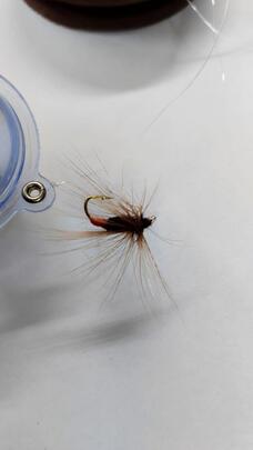 Aparejo Plumas Trucha