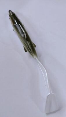 Thumb a06497 lofjsrdt