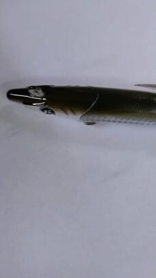 Raglou Hybrid 105-14.5g-AYUG (LANZÓN)