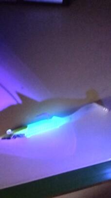 Thumb a06476 mnhtkswz