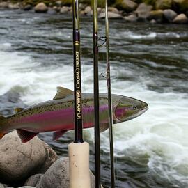 Caña Mosca G-LOOMIS CROOSS CURRENT 9 foot