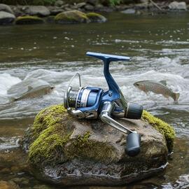 Thumb a02917 dageid5o