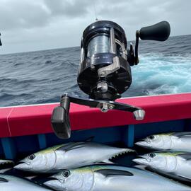 Thumb a02166 bjszbgzp