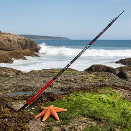 Caña SARGO 13 FISHING  6.50mtrs (ACC.20-100GRS)