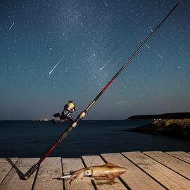 Thumb a04119 446mz4ns