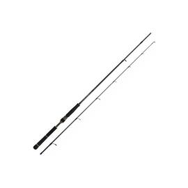 Caña DAIWA BG Seabass 3.20m (60-120Grs)