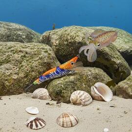 Thumb a06428 dfu9mgww