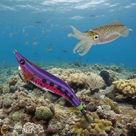 Thumb a06421 ebdbvy0n