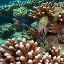 Thumb a05913 aqpfr125