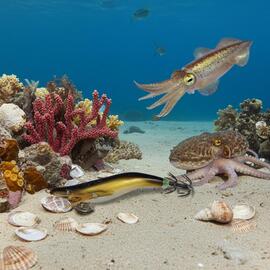 Thumb a05915 9lugocel