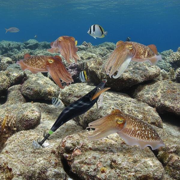 Gallery a05918 vnvr32xx