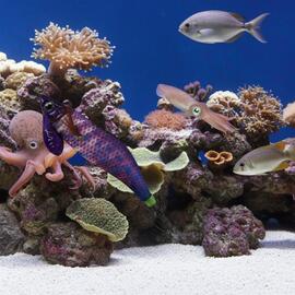 Thumb a06457 hkrtpust