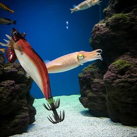 Thumb a06458 ozoyhcnp