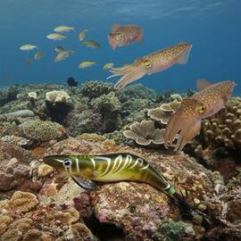 Thumb a06436 dltnlvgt