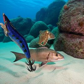 Thumb a06435 lkatinoe