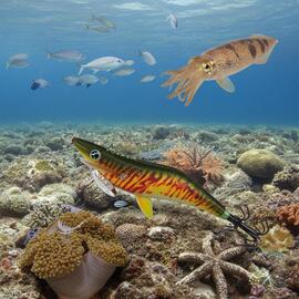 Thumb a06434 no5ulk1a