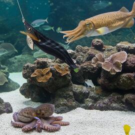 Thumb a05924 xe1ryeav