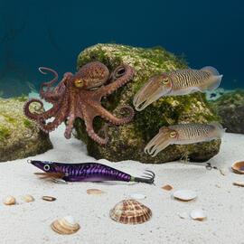 Thumb a00773 sccsqmgx