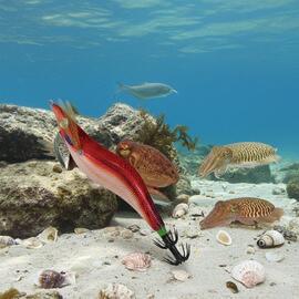 Thumb a00809 x4fw7xf2