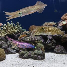 Thumb a03862 aiezqwem