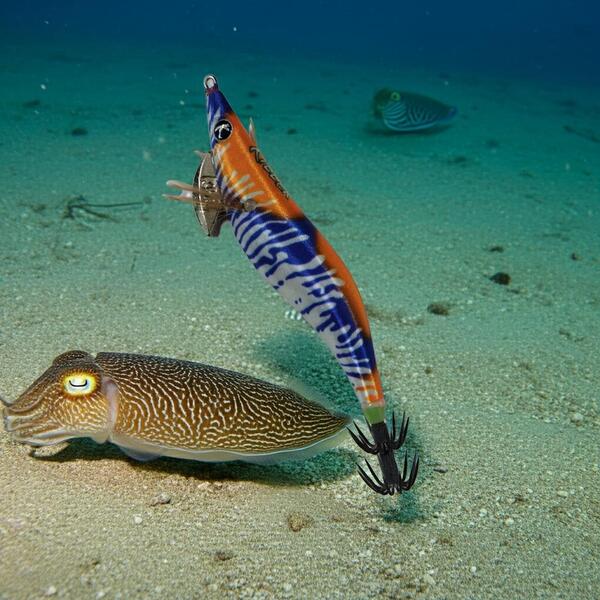 Gallery a06440 9aa04sfh