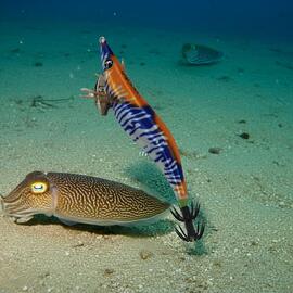 Thumb a06440 9aa04sfh