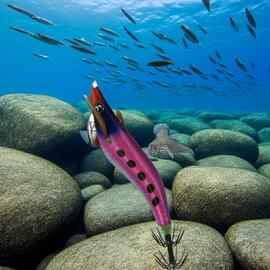 Thumb a06439 mdrczgyc