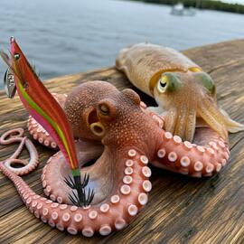 Thumb a06443 wn3zjsqm