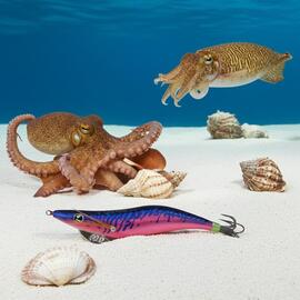 Thumb a05938 awxtmocj