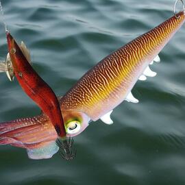 Thumb a03881 cn9ycxwo