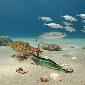 Thumb a03879 30onb8mf