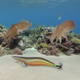 Thumb a04128 0xwuxxft