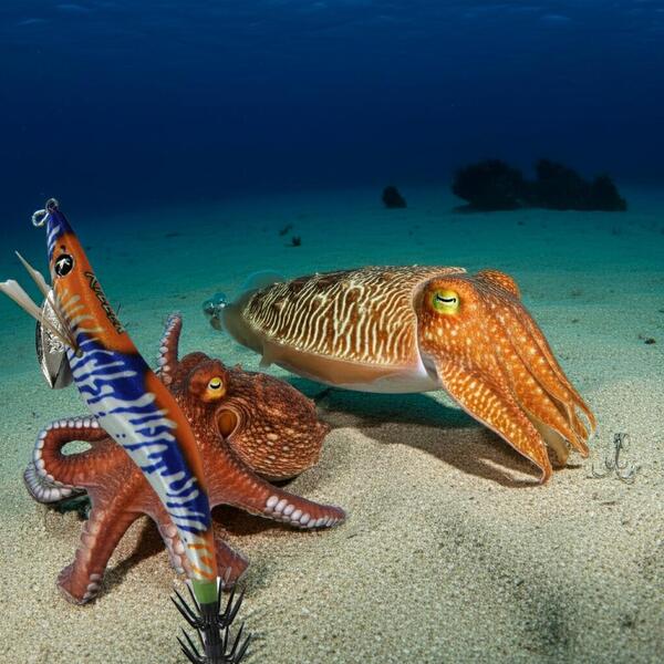 Gallery a06451 qy5cotup