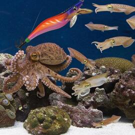 Thumb a06446 6lx4xkpd