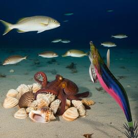 Thumb a05944 jjzpgabh