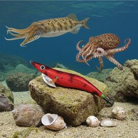 Thumb a03884 m548lqtm