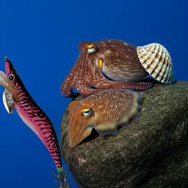 Thumb a04131 iq6sdz7h