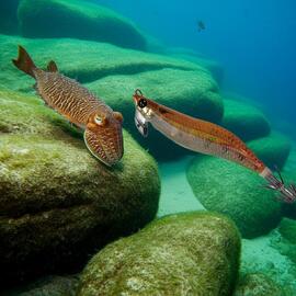 Potera YOZURY DUEL 3.0 DLGO- 14GRS EZQ