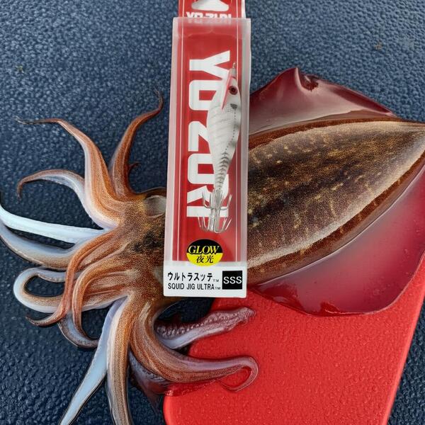 Gallery a05038 dqzzx5pg