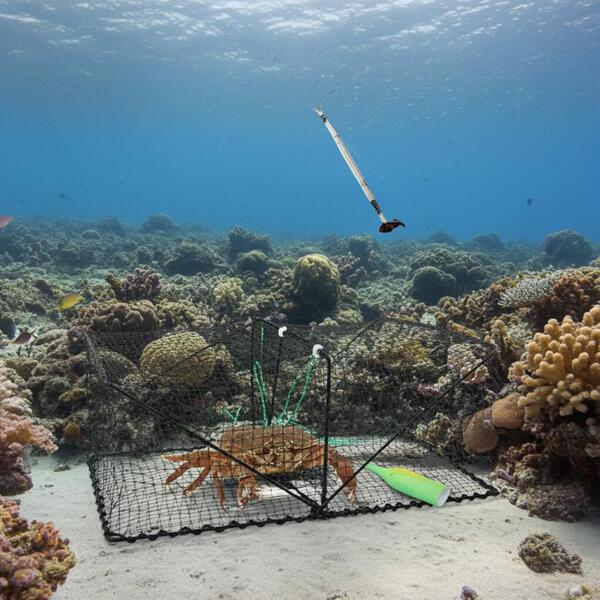 Gallery a06158 son1boxu