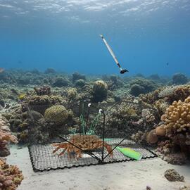 Thumb a06158 son1boxu