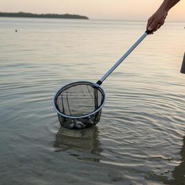 Thumb a06302 y81v2zey